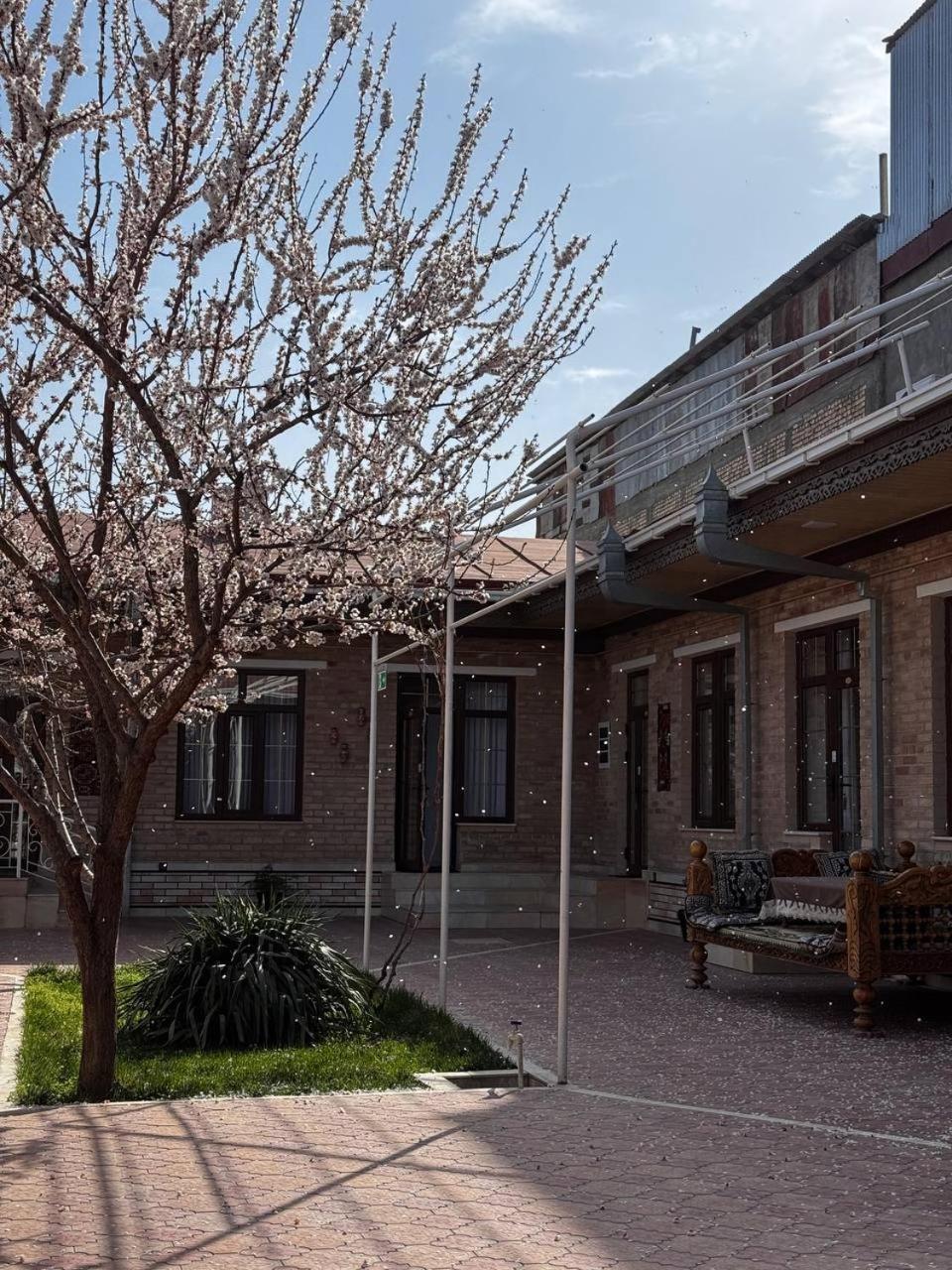 Salomat Guest House ซามาร์คันด์ ภายนอก รูปภาพ